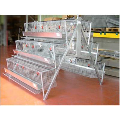 Poultry Cages 500x500